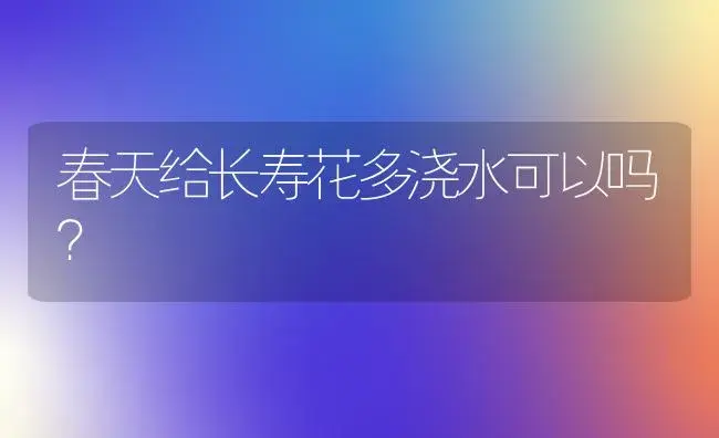 春天给长寿花多浇水可以吗？ | 多肉养殖