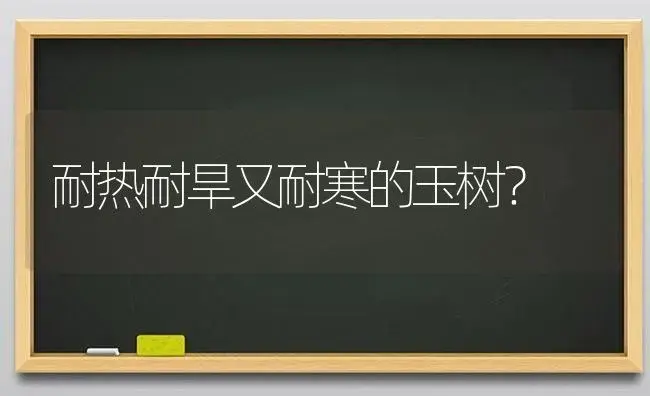 耐热耐旱又耐寒的玉树？ | 多肉养殖