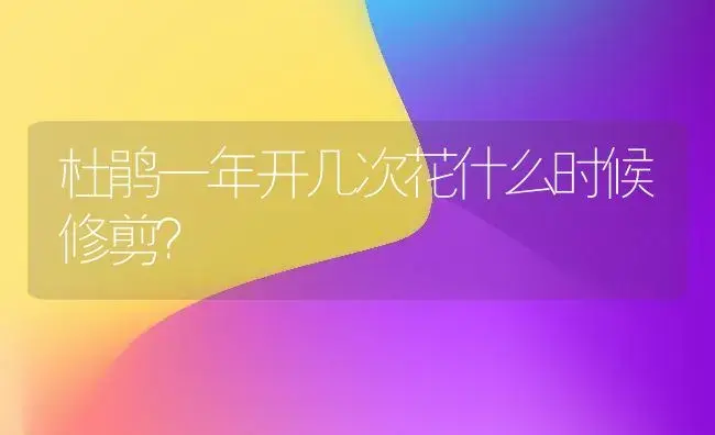 杜鹃一年开几次花什么时候修剪？ | 绿植常识