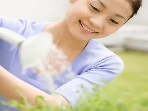 盆栽浇水 | 水分对植物生长的影响