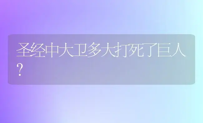 圣经中大卫多大打死了巨人？ | 多肉养殖