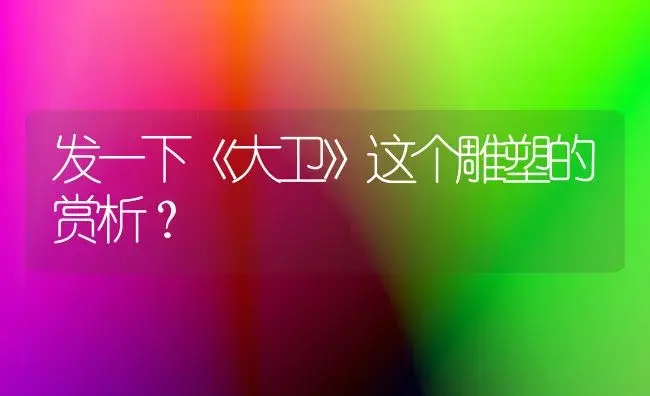 发一下《大卫》这个雕塑的赏析？ | 多肉养殖