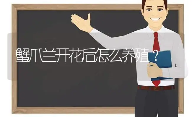 蟹爪兰开花后怎么养殖？ | 多肉养殖