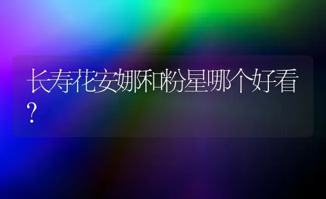 长寿花安娜和粉星哪个好看？ | 多肉养殖