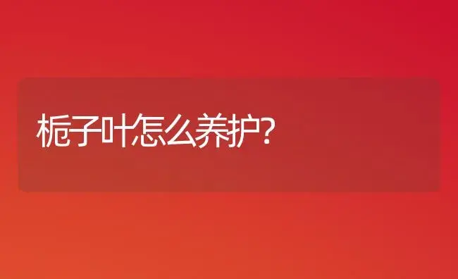 栀子叶怎么养护？ | 绿植常识