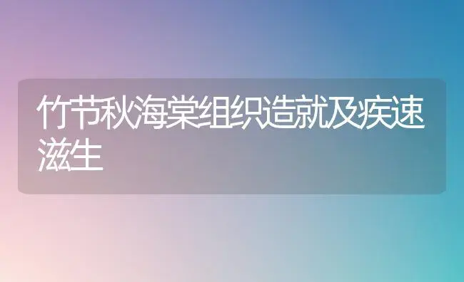 竹节秋海棠组织造就及疾速滋生 | 家庭养花