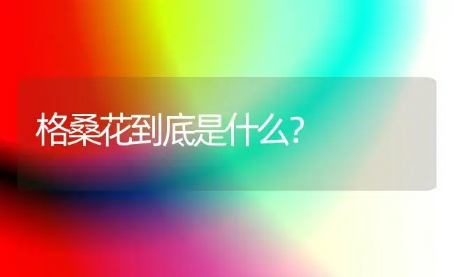 格桑花到底是什么？ | 家庭养花