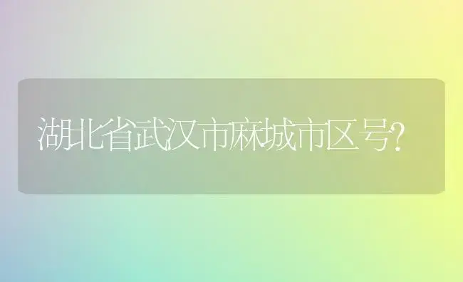 湖北省武汉市麻城市区号？ | 绿植常识