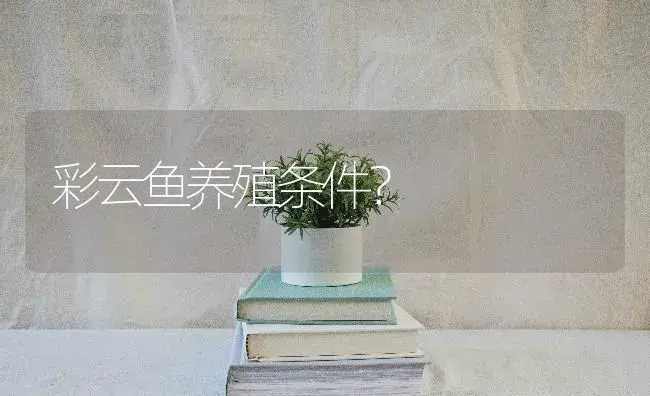 彩云鱼养殖条件？ | 多肉养殖