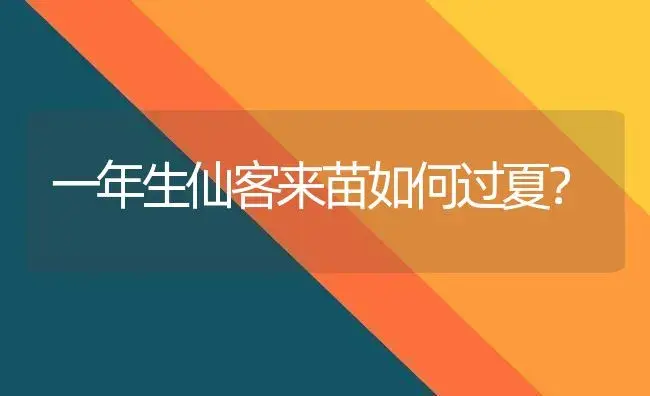 一年生仙客来苗如何过夏？ | 家庭养花