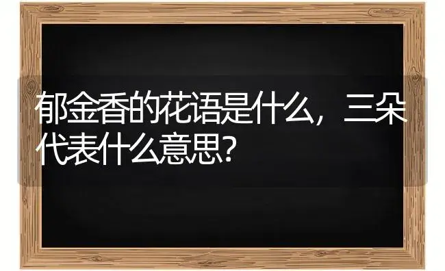 郁金香的花语是什么，三朵代表什么意思？ | 绿植常识