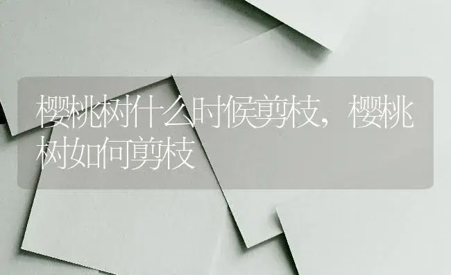 樱桃树什么时候剪枝，樱桃树如何剪枝 | 果木种植