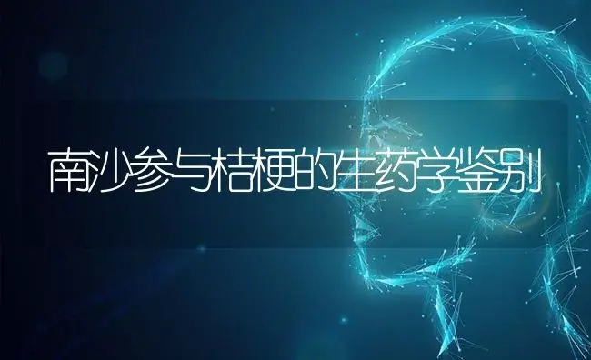 南沙参与桔梗的生药学鉴别 | 特种种植