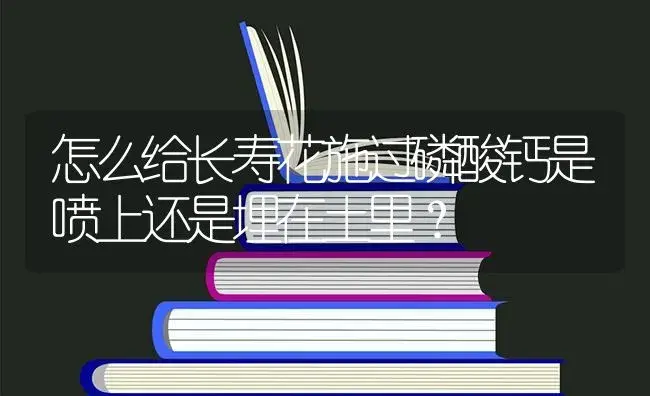 怎么给长寿花施过磷酸钙是喷上还是埋在土里？ | 多肉养殖