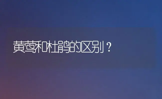 黄莺和杜鹃的区别？ | 绿植常识