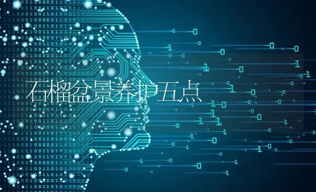 石榴盆景养护五点 | 特种种植