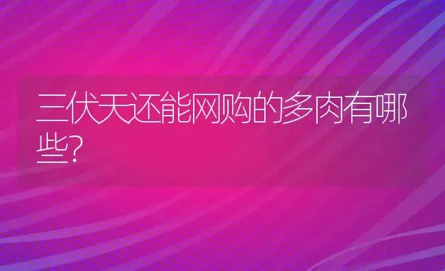 三伏天还能网购的多肉有哪些？ | 多肉养殖