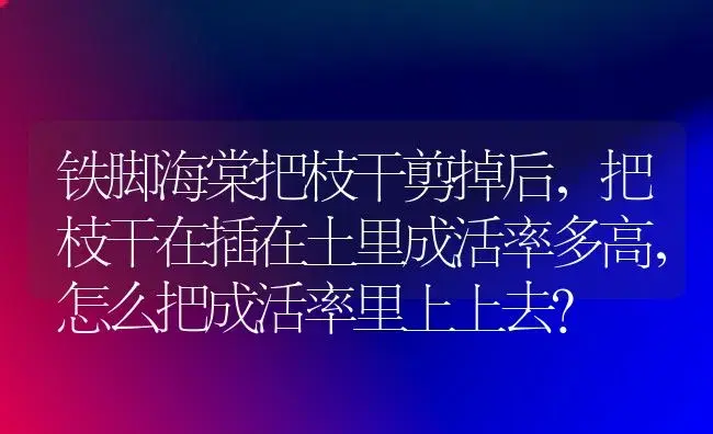 铁脚海棠把枝干剪掉后，把枝干在插在土里成活率多高，怎么把成活率里上上去？ | 绿植常识