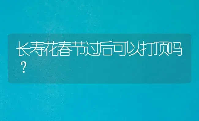 长寿花春节过后可以打顶吗？ | 多肉养殖