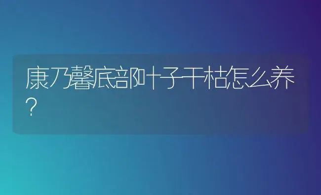 康乃馨底部叶子干枯怎么养？ | 绿植常识