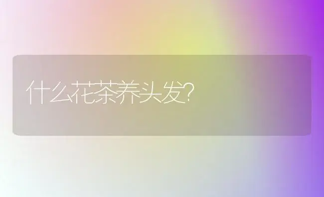 什么花茶养头发？ | 绿植常识