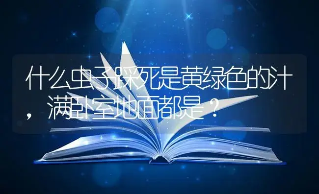 什么虫子踩死是黄绿色的汁，满卧室地面都是？ | 绿植常识