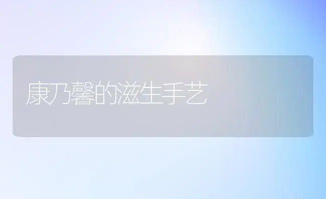 康乃馨的滋生手艺 | 家庭养花