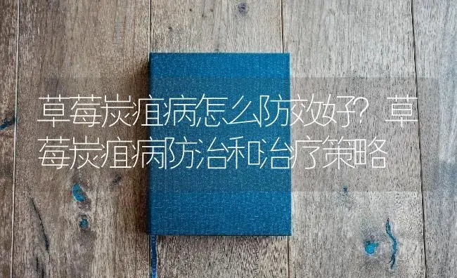 草莓炭疽病怎么防效好？草莓炭疽病防治和治疗策略 | 果木种植