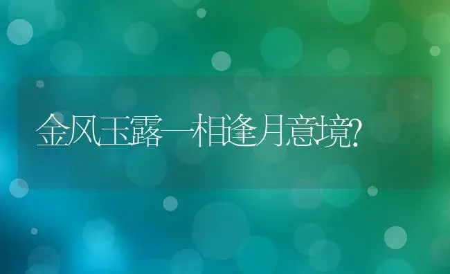 金风玉露一相逢月意境？ | 多肉养殖