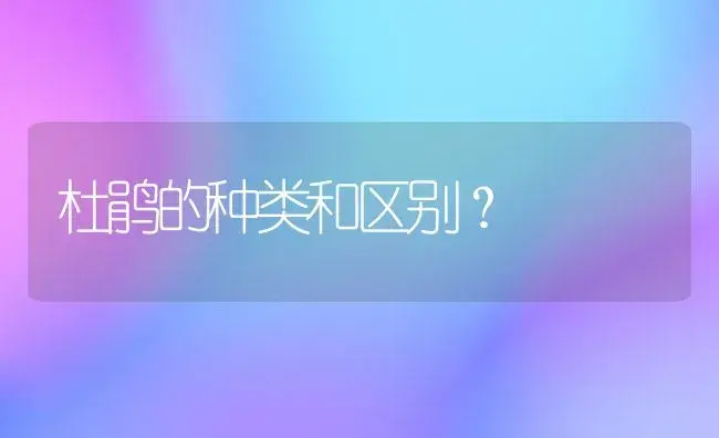 杜鹃的种类和区别？ | 绿植常识