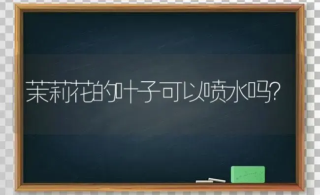 茉莉花的叶子可以喷水吗？ | 绿植常识