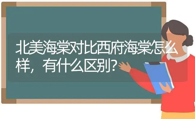 北美海棠对比西府海棠怎么样，有什么区别？ | 绿植常识