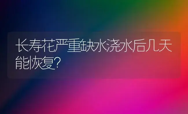 长寿花严重缺水浇水后几天能恢复？ | 多肉养殖