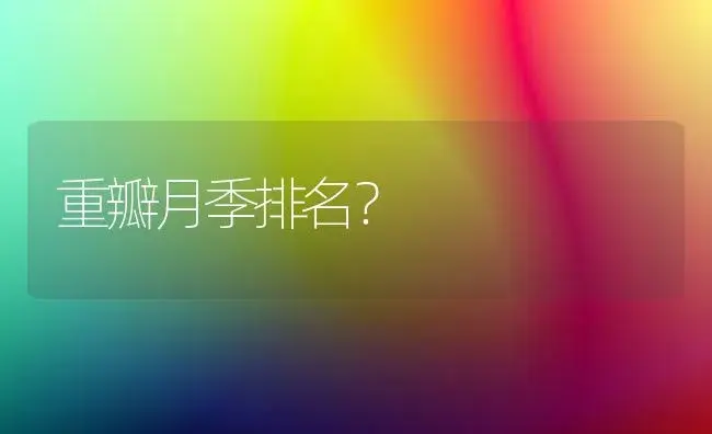 重瓣月季排名？ | 绿植常识