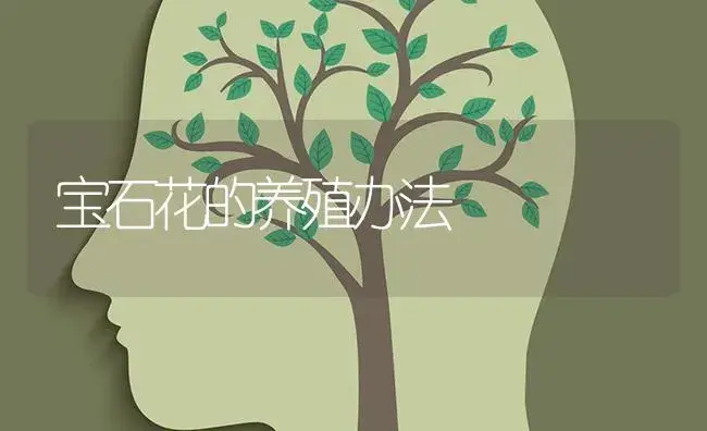 宝石花的养殖办法 | 特种种植