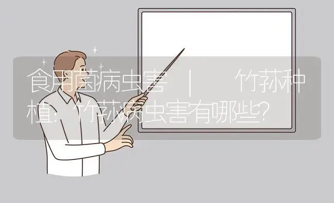 竹荪种植：竹荪病虫害有哪些？ | 菌菇种植