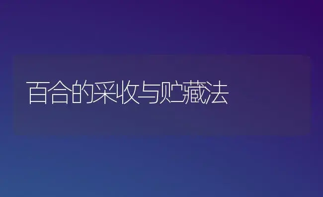 百合的采收与贮藏法 | 家庭养花