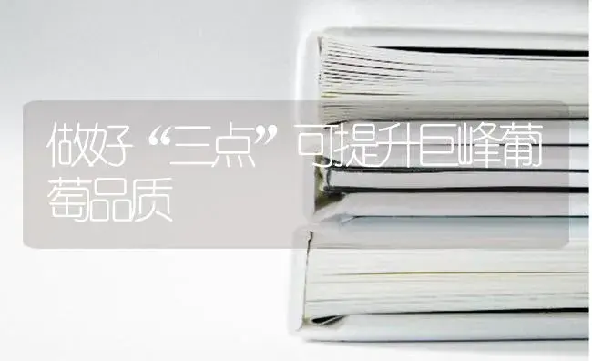 做好“三点”可提升巨峰葡萄品质 | 果木种植