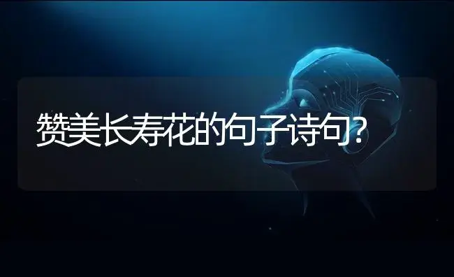 赞美长寿花的句子诗句？ | 多肉养殖