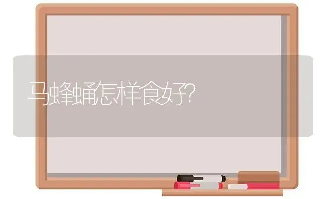 马蜂蛹怎样食好？ | 多肉养殖