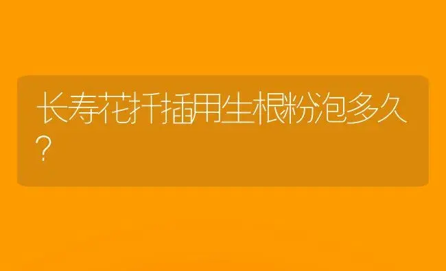 长寿花扦插用生根粉泡多久？ | 多肉养殖