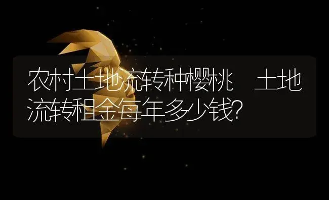 农村土地流转种樱桃 土地流转租金每年多少钱？ | 果木种植