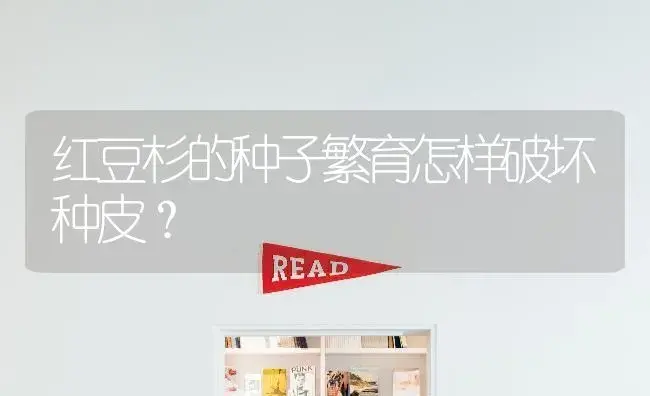 红豆杉的种子繁育怎样破坏种皮？ | 特种种植