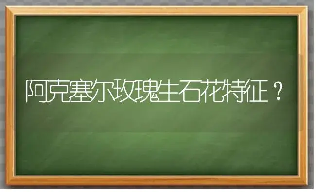 阿克塞尔玫瑰生石花特征？ | 多肉养殖