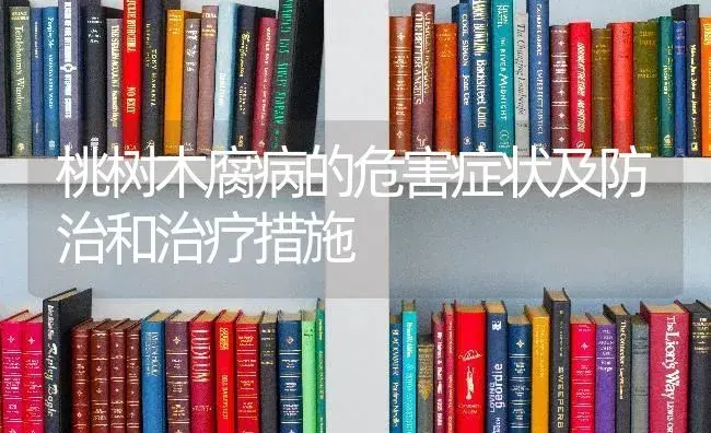 桃树木腐病的危害症状及防治和治疗措施 | 果木种植