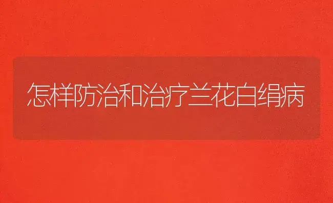 怎样防治和治疗兰花白绢病 | 家庭养花