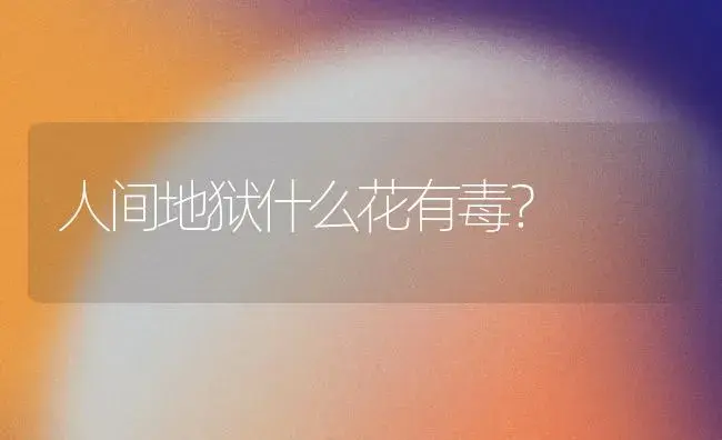 人间地狱什么花有毒？ | 绿植常识