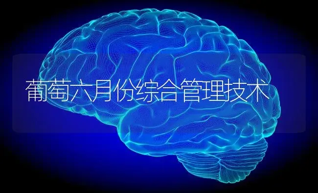 葡萄六月份综合管理技术 | 特种种植