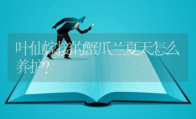 叶仙嫁接的蟹爪兰夏天怎么养护？ | 多肉养殖