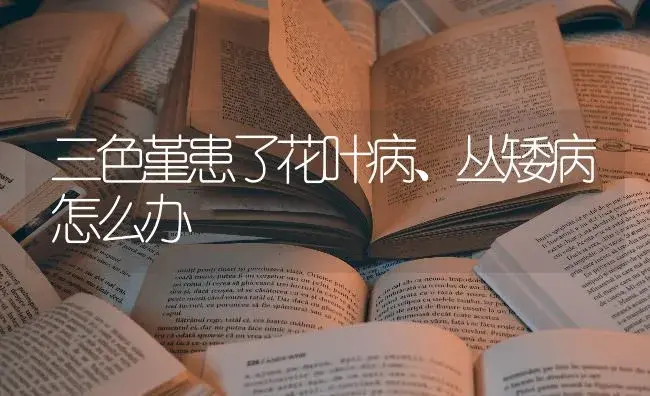 三色堇患了花叶病、丛矮病怎么办 | 特种种植